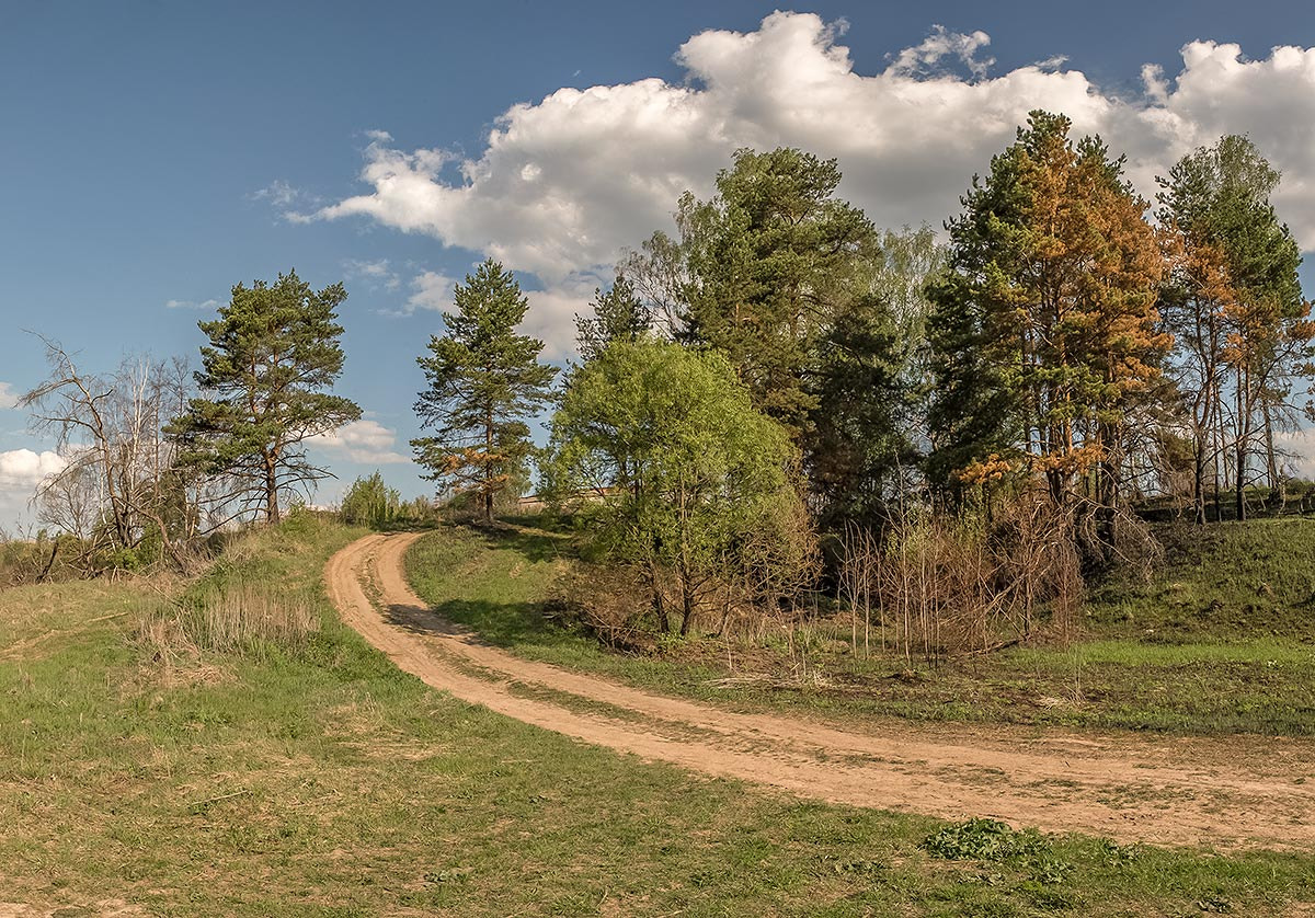 Nikon AF-S Nikkor 28-70mm F2.8 ED-IF sample photo. Пейзаж с дорогой photography