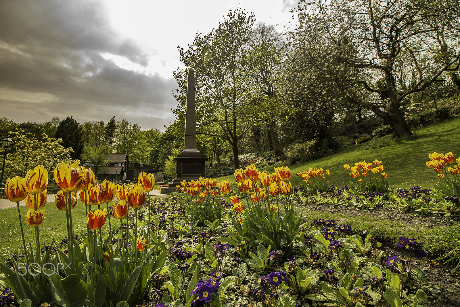 Canon EF-S 10-18mm F4.5–5.6 IS STM sample photo. Avenham park tulips photography