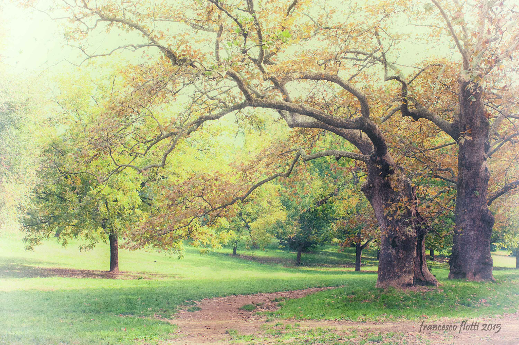 Tamron SP 24-70mm F2.8 Di VC USD sample photo. Villa borghese roma photography