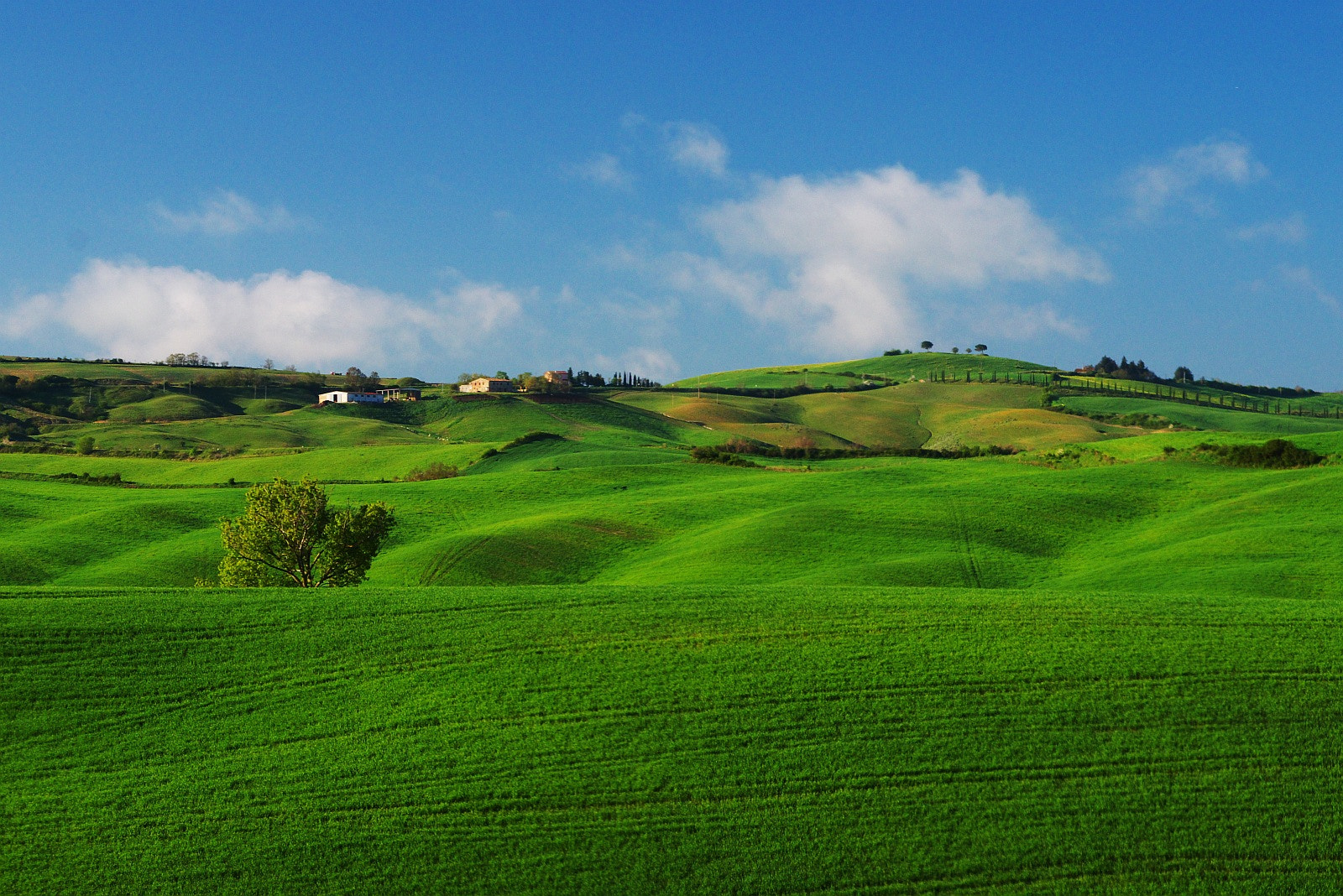 Pentax K-30 sample photo. Green fields of tuscany photography