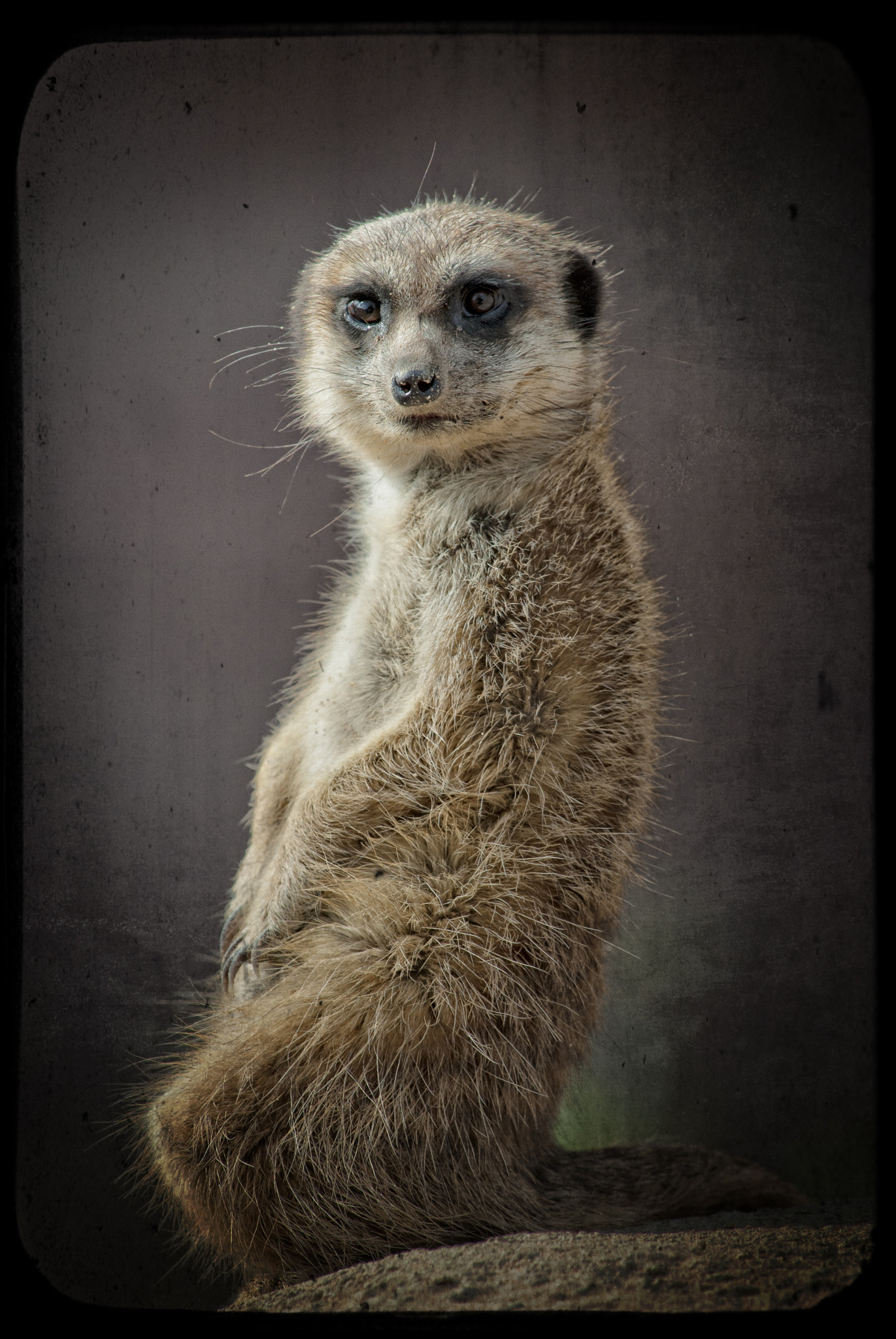 Nikon D200 sample photo. Guckst du..? photography