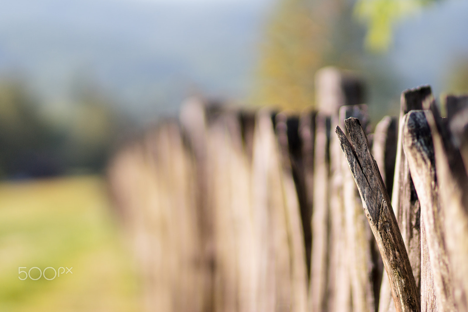 Canon EOS 1200D (EOS Rebel T5 / EOS Kiss X70 / EOS Hi) + Canon EF 85mm F1.8 USM sample photo. Old fence photography