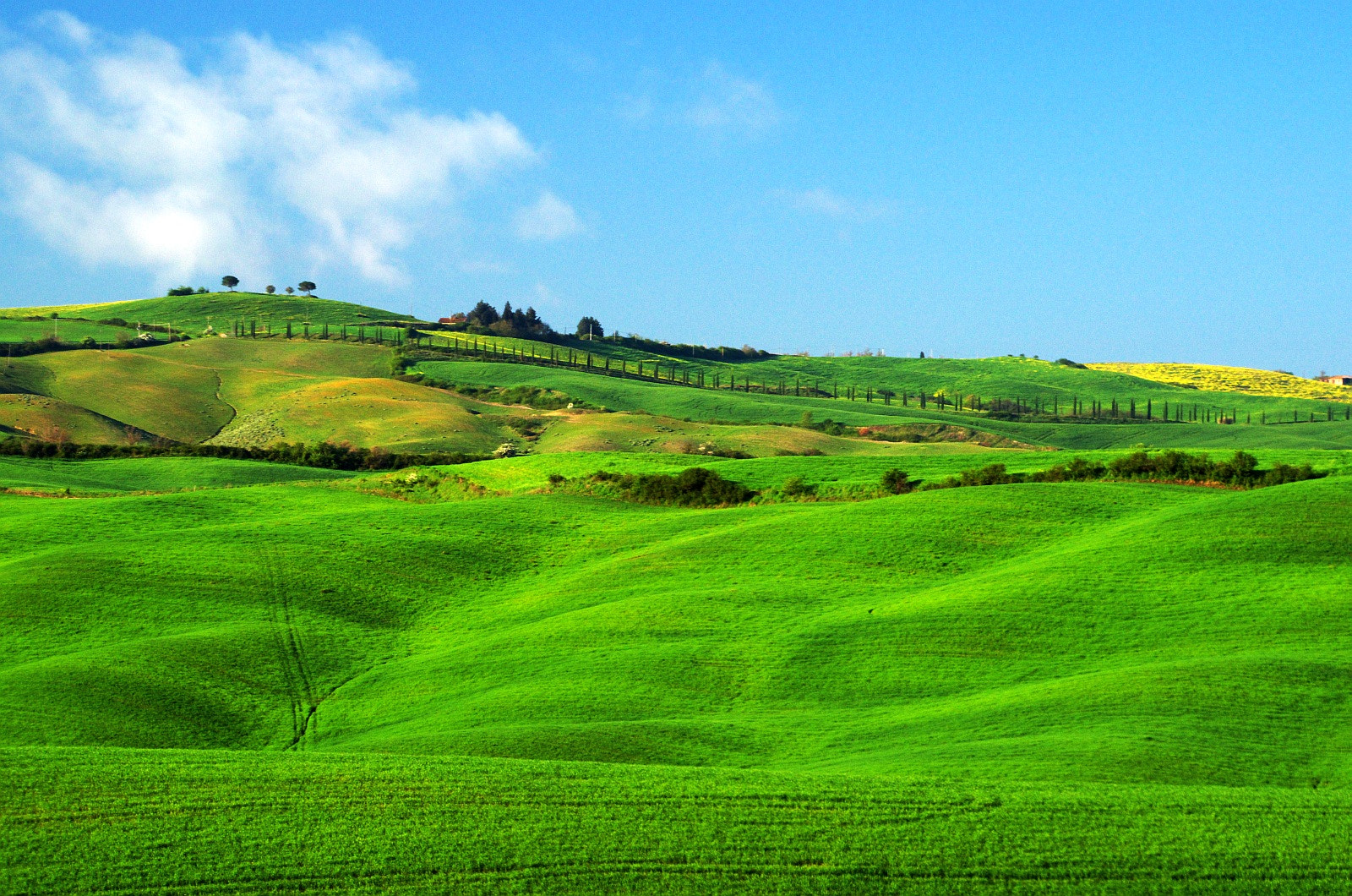 Pentax K-30 sample photo. Green fields of tuscany 2 photography