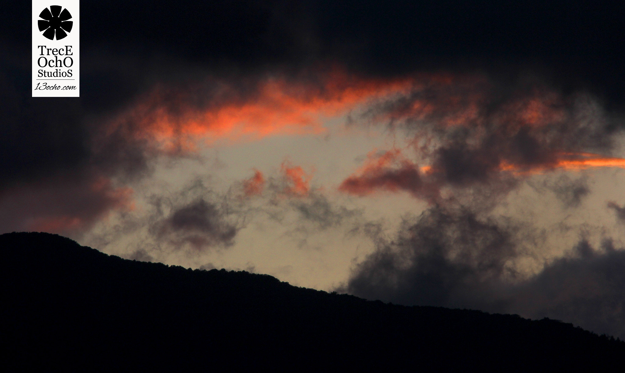 Canon EF 35-350mm F3.5-5.6L USM sample photo. Celoso photography