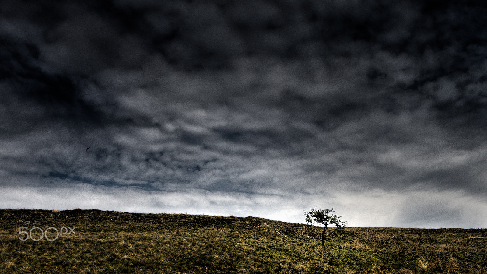 Canon TS-E 24.0mm f/3.5 L II sample photo. Light on the moors photography