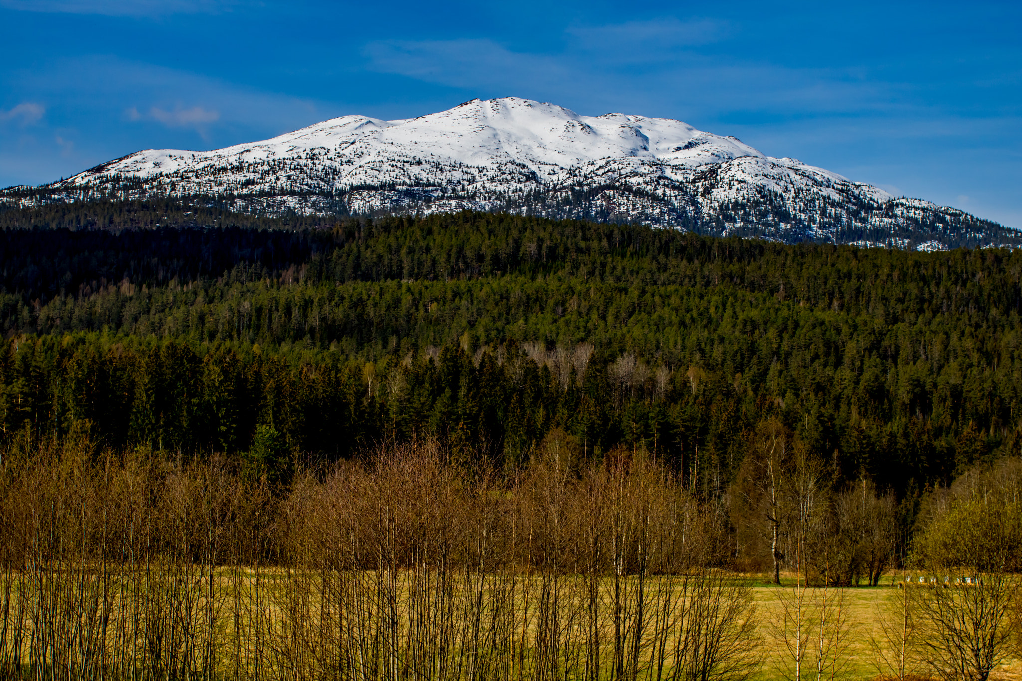 Canon EOS 760D (EOS Rebel T6s / EOS 8000D) + Canon EF 50mm F1.2L USM sample photo. Snowy mountain photography