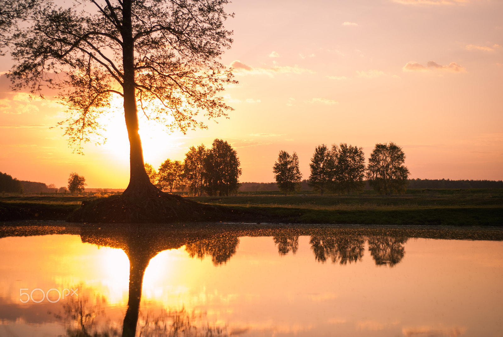 Nikon D80 + AF Nikkor 50mm f/1.8 N sample photo. Sunset over lake photography