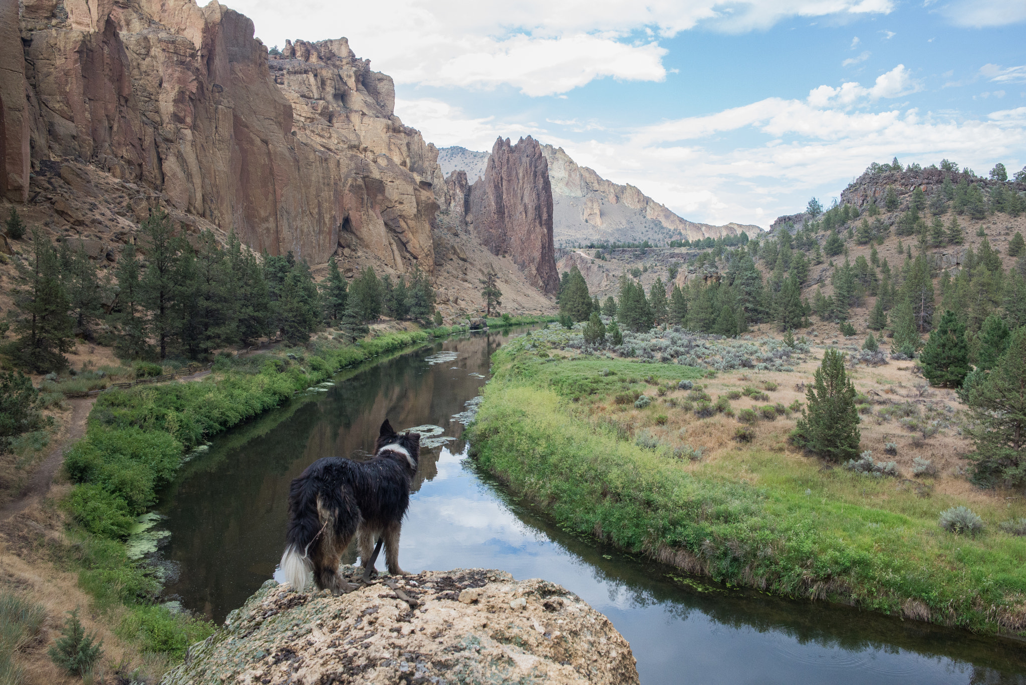 Samyang 12mm F2.8 ED AS NCS Fisheye sample photo. Smith rock photography