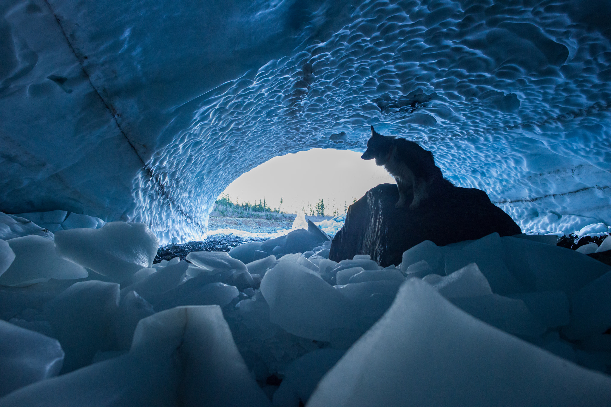 Nikon D600 + Samyang 12mm F2.8 ED AS NCS Fisheye sample photo. Big 4 ice caves photography