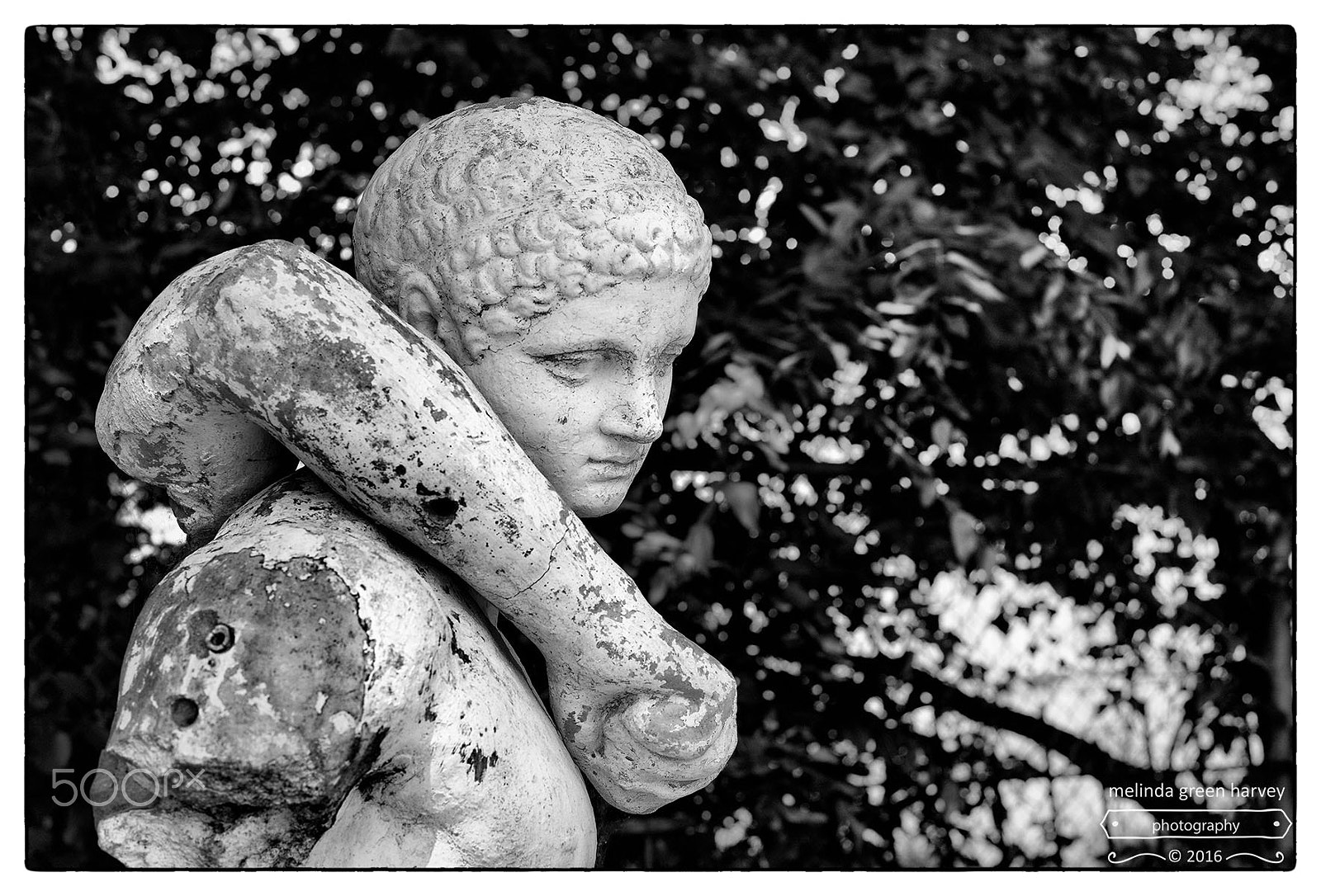 Leica Summarit-M 50mm F2.4 sample photo. Disarming photography