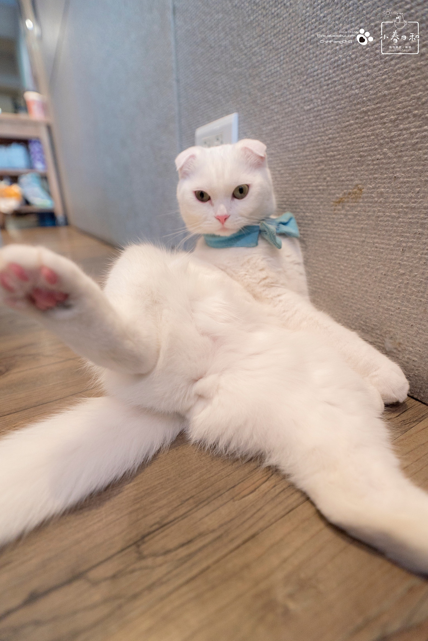 Sony Vario-Sonnar T* 16-35mm F2.8 ZA SSM II sample photo. 坐的是霸氣 photography