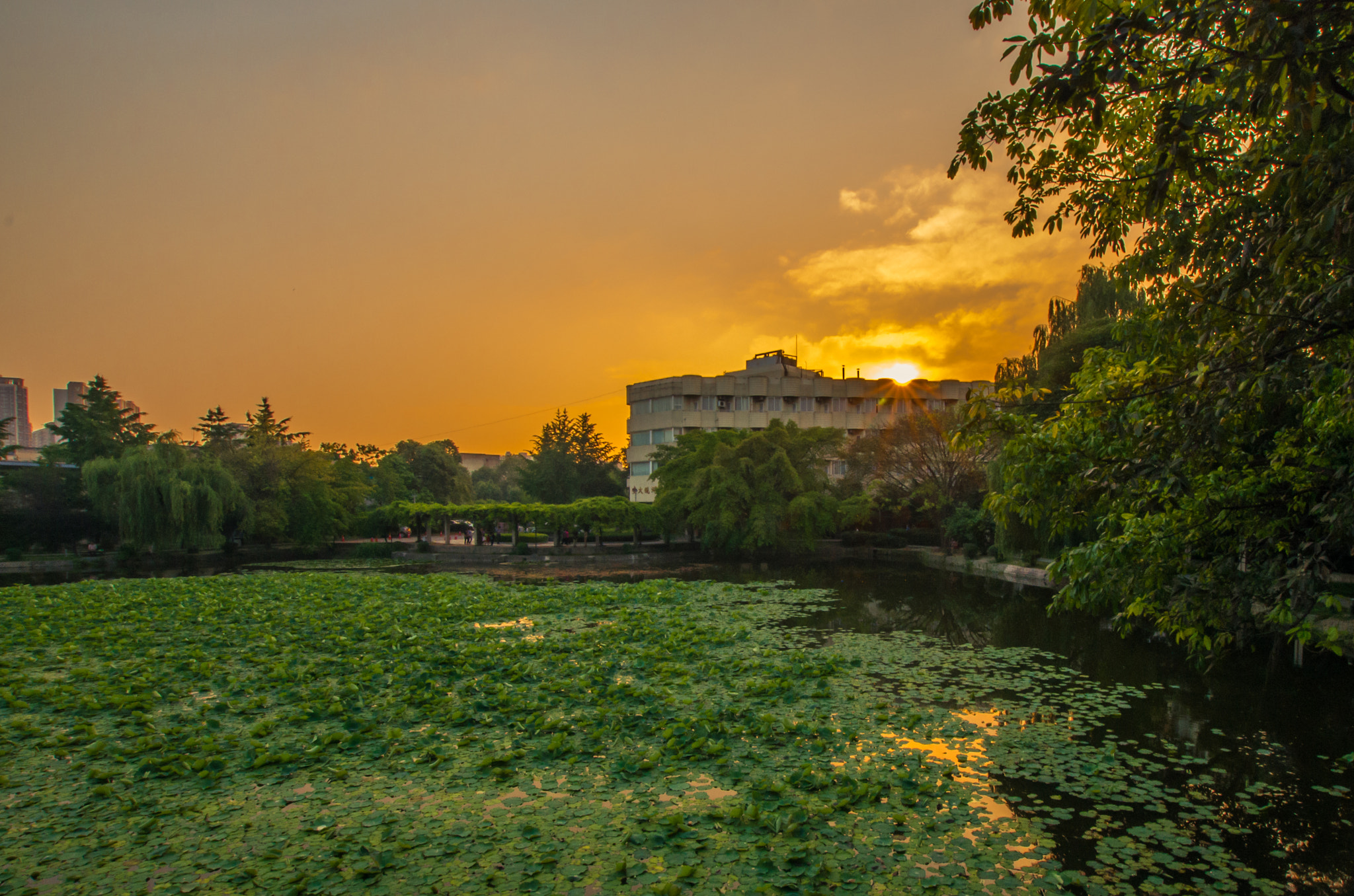 Pentax K-5 IIs sample photo. Sunset photography