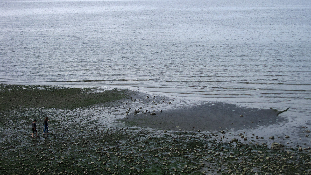 Canon PowerShot SD880 IS (Digital IXUS 870 IS / IXY Digital 920 IS) sample photo. Carkeek a 008 photography