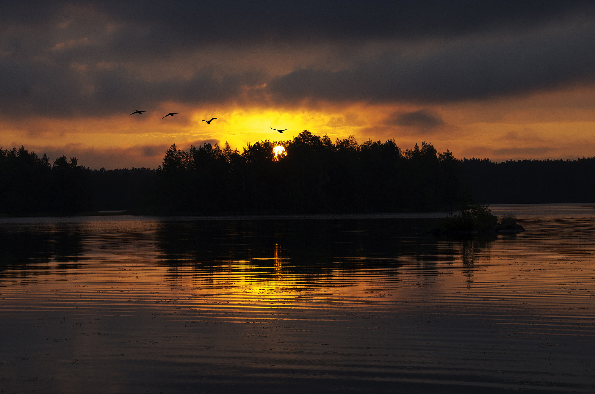 Pentax K-5 sample photo. Morning photography