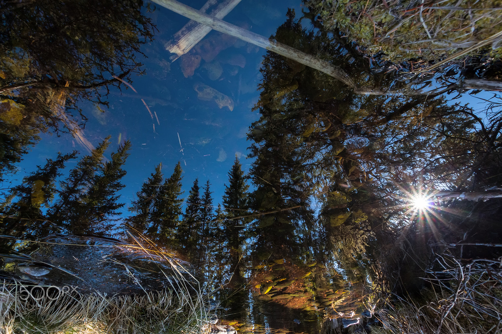 Sigma 10-20mm F3.5 EX DC HSM sample photo. Through the looking glass photography