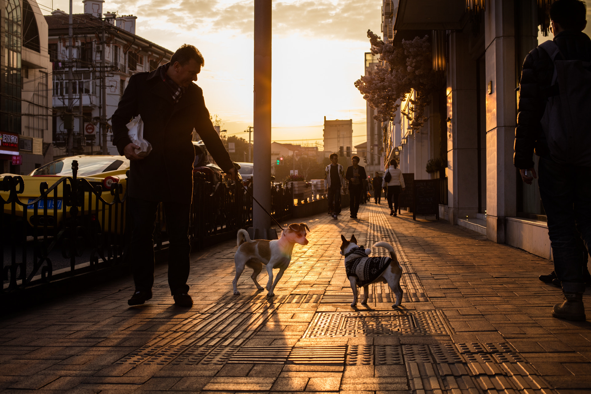 Canon EOS 5DS + Canon EF 50mm F1.4 USM sample photo. Hey photography