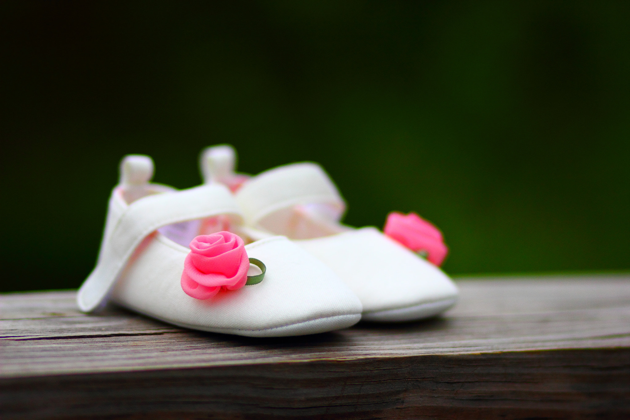 Canon EOS 550D (EOS Rebel T2i / EOS Kiss X4) sample photo. Tinge of pink in nature! photography