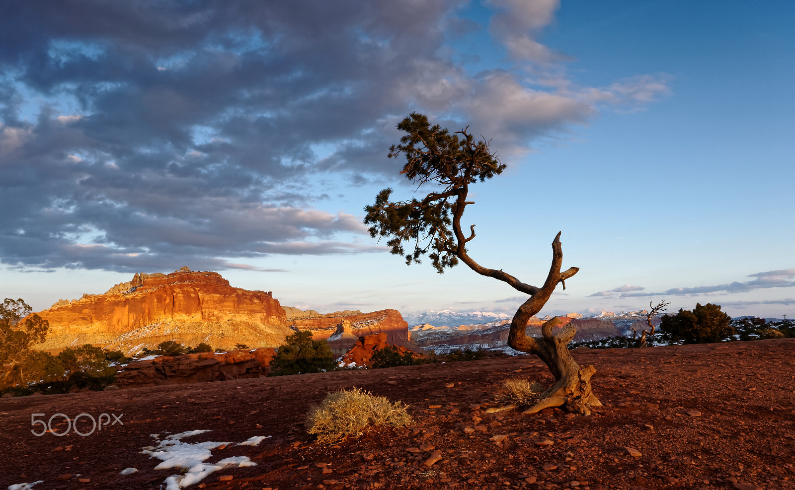 Pentax K20D + Sigma AF 10-20mm F4-5.6 EX DC sample photo. Dancing trees of capitol reef #2 photography