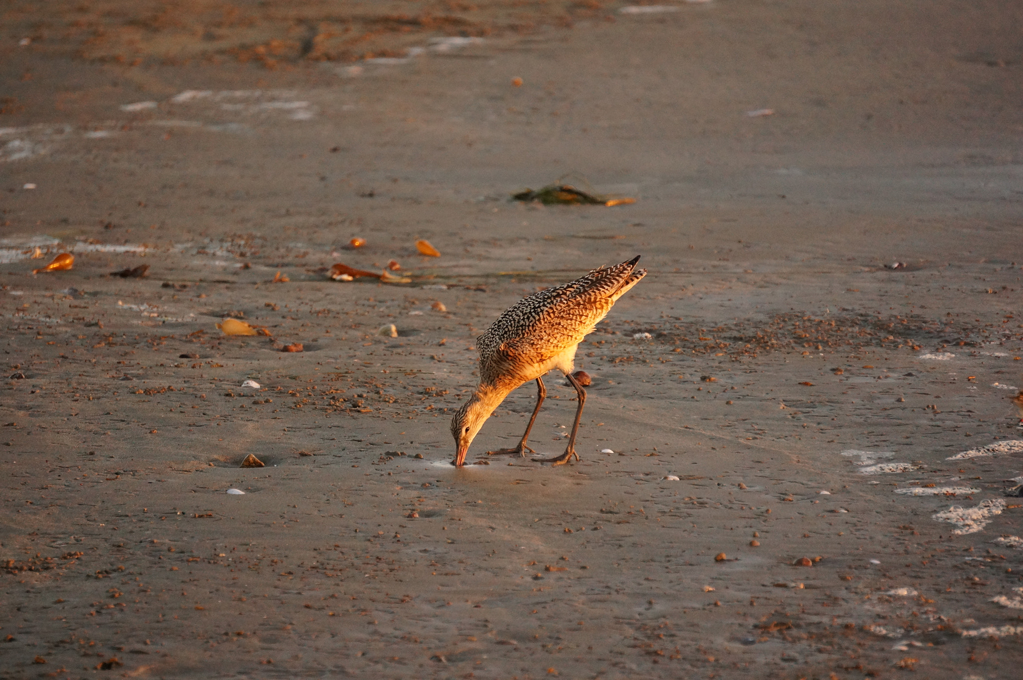 Sony Alpha NEX-5T sample photo. Sand pipe at sunset photography