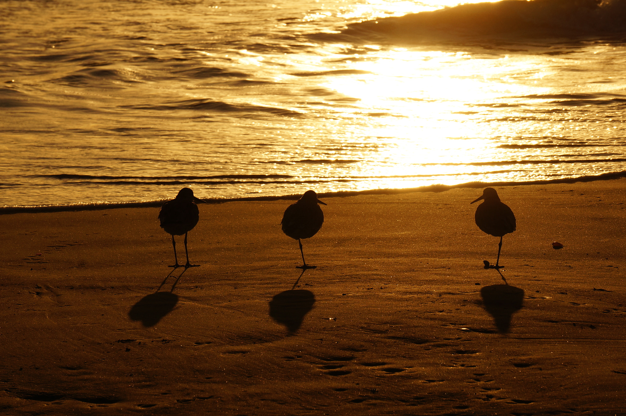 Sony FE 24-240mm F3.5-6.3 OSS sample photo. Sunset siloutte photography