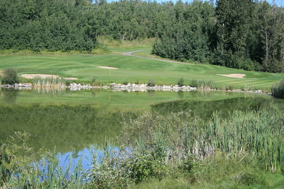 Canon EF-S 18-55mm F3.5-5.6 sample photo. Greenary of innisfail golf club photography