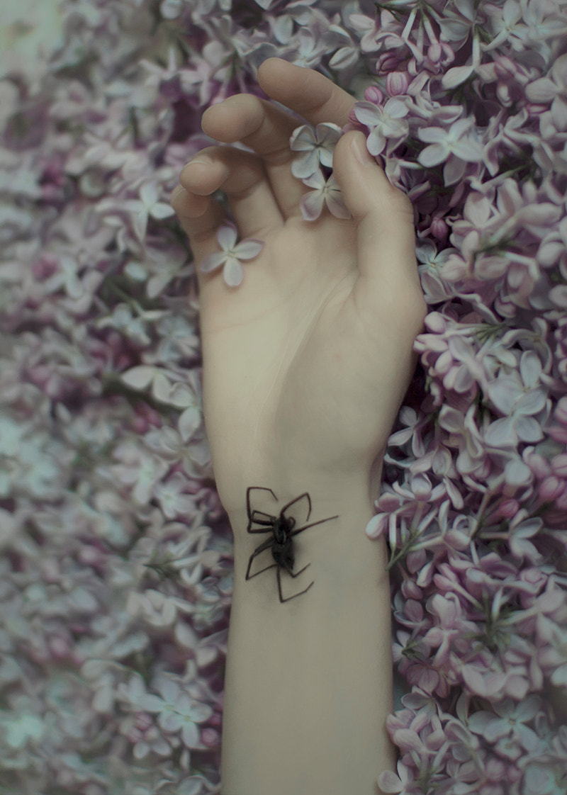 Sigma 30mm F1.4 EX DC HSM sample photo. Scent of venom photography