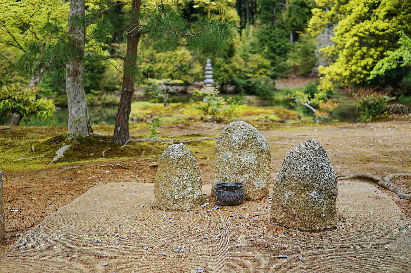 Sony Alpha a5000 (ILCE 5000) + Sigma 30mm F2.8 EX DN sample photo. Coin throw photography