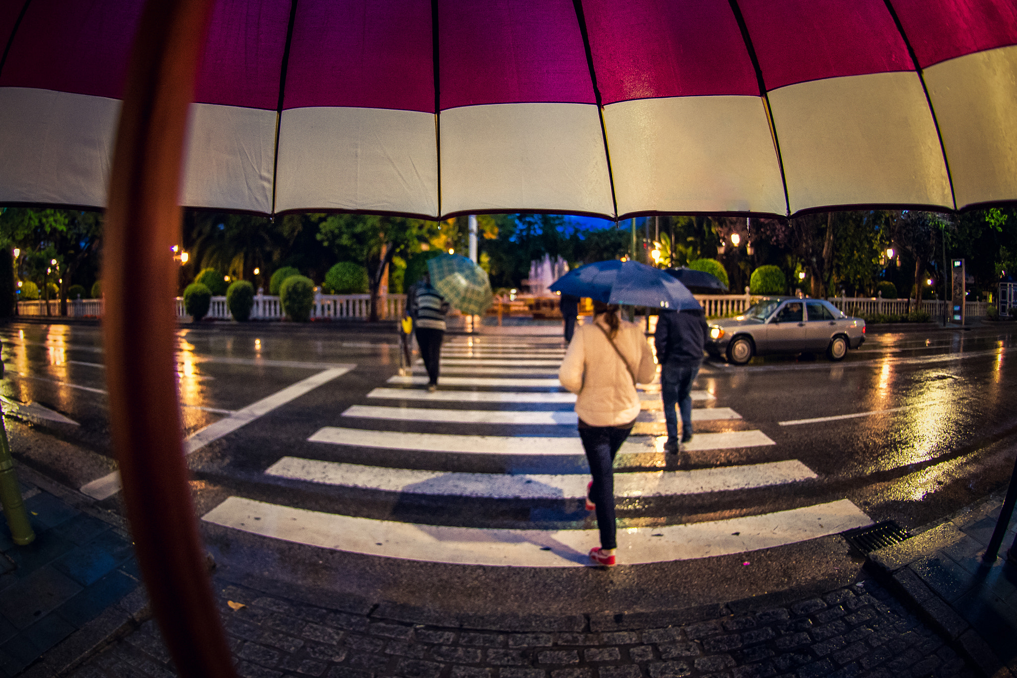 Nikon AF DX Fisheye-Nikkor 10.5mm F2.8G ED sample photo. 132/366 - behind umbrella photography