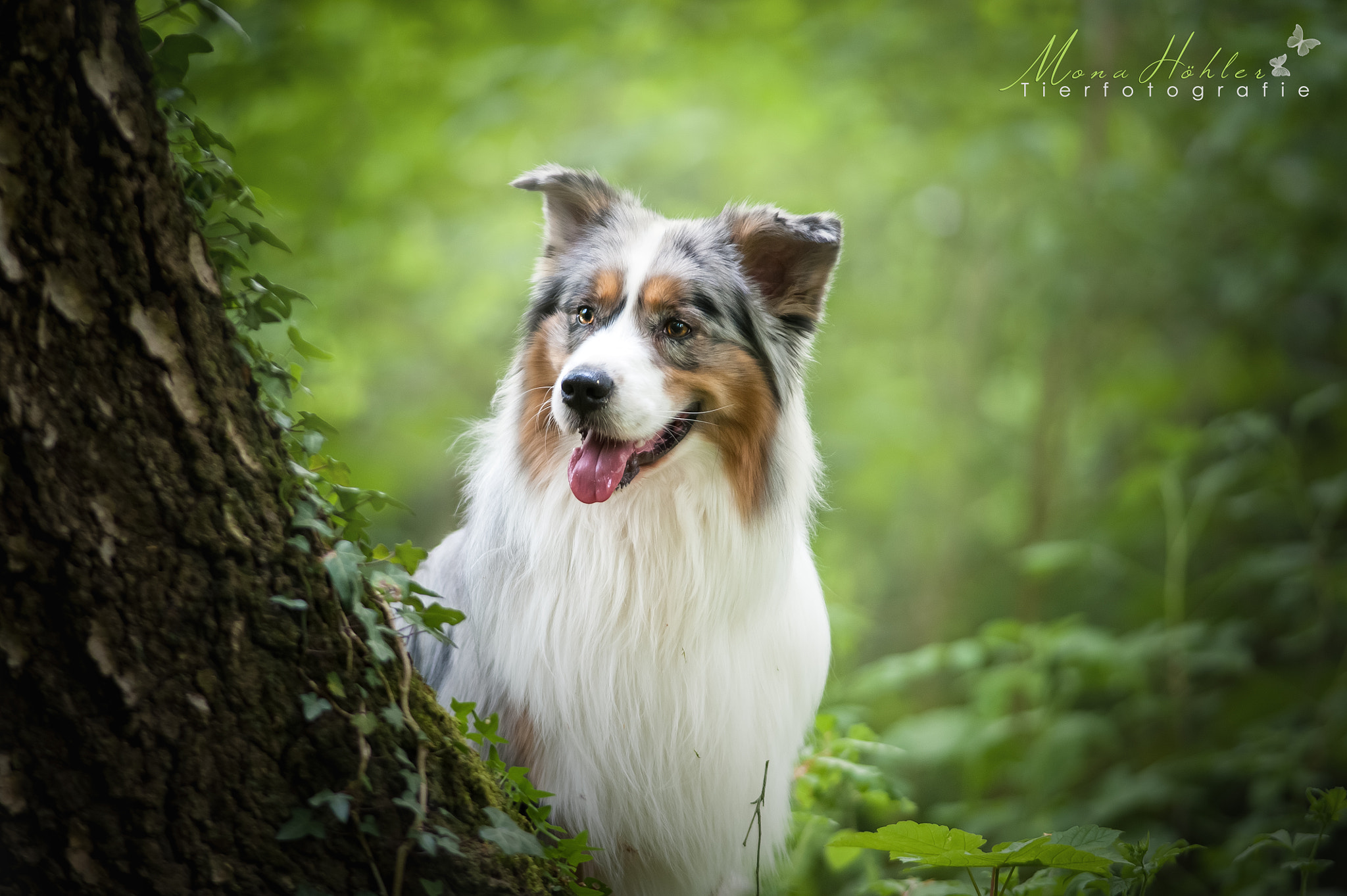 Nikon D3 + Nikon AF Nikkor 180mm F2.8D ED-IF sample photo. Green summer photography
