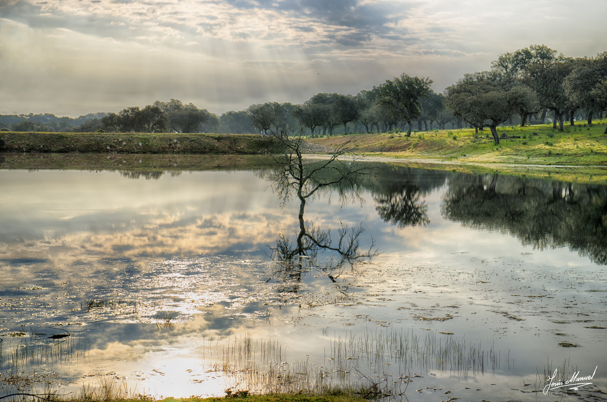 Sigma 17-70mm F2.8-4 DC Macro OS HSM | C sample photo. Guijo de los frailes photography