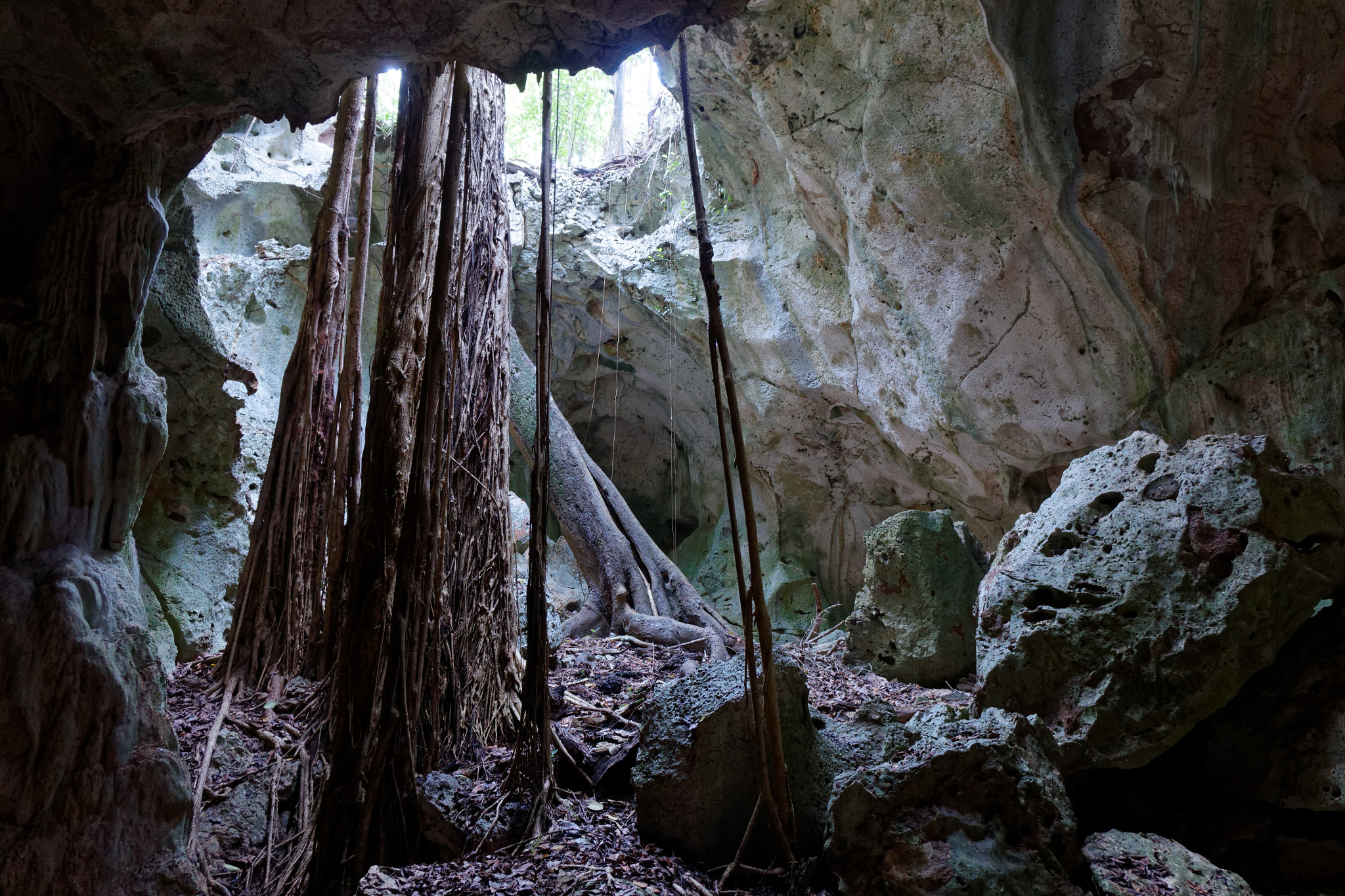 Sony Cyber-shot DSC-RX10 + Minolta AF 28-85mm F3.5-4.5 New sample photo. Green grotto cave photography