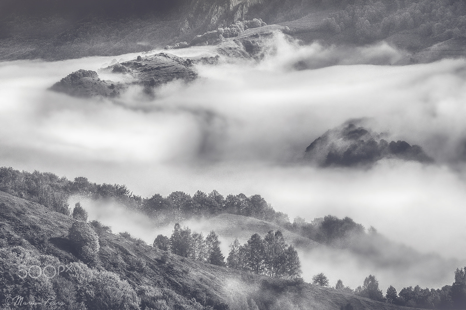 Nikon D80 sample photo. Twirly mist in apuseni mountains photography