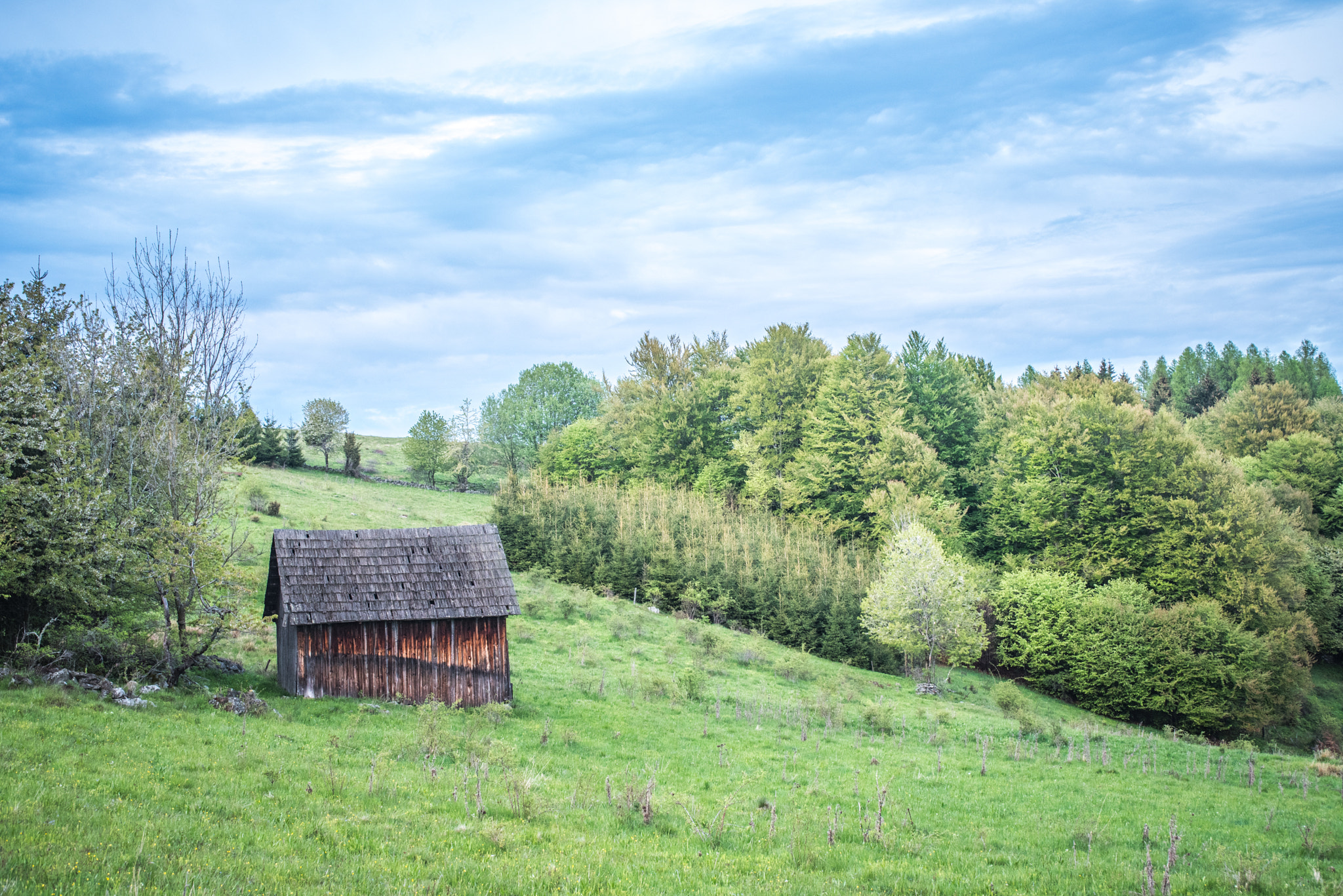 AF Zoom-Nikkor 28-85mm f/3.5-4.5 sample photo. Poľana.jpg photography