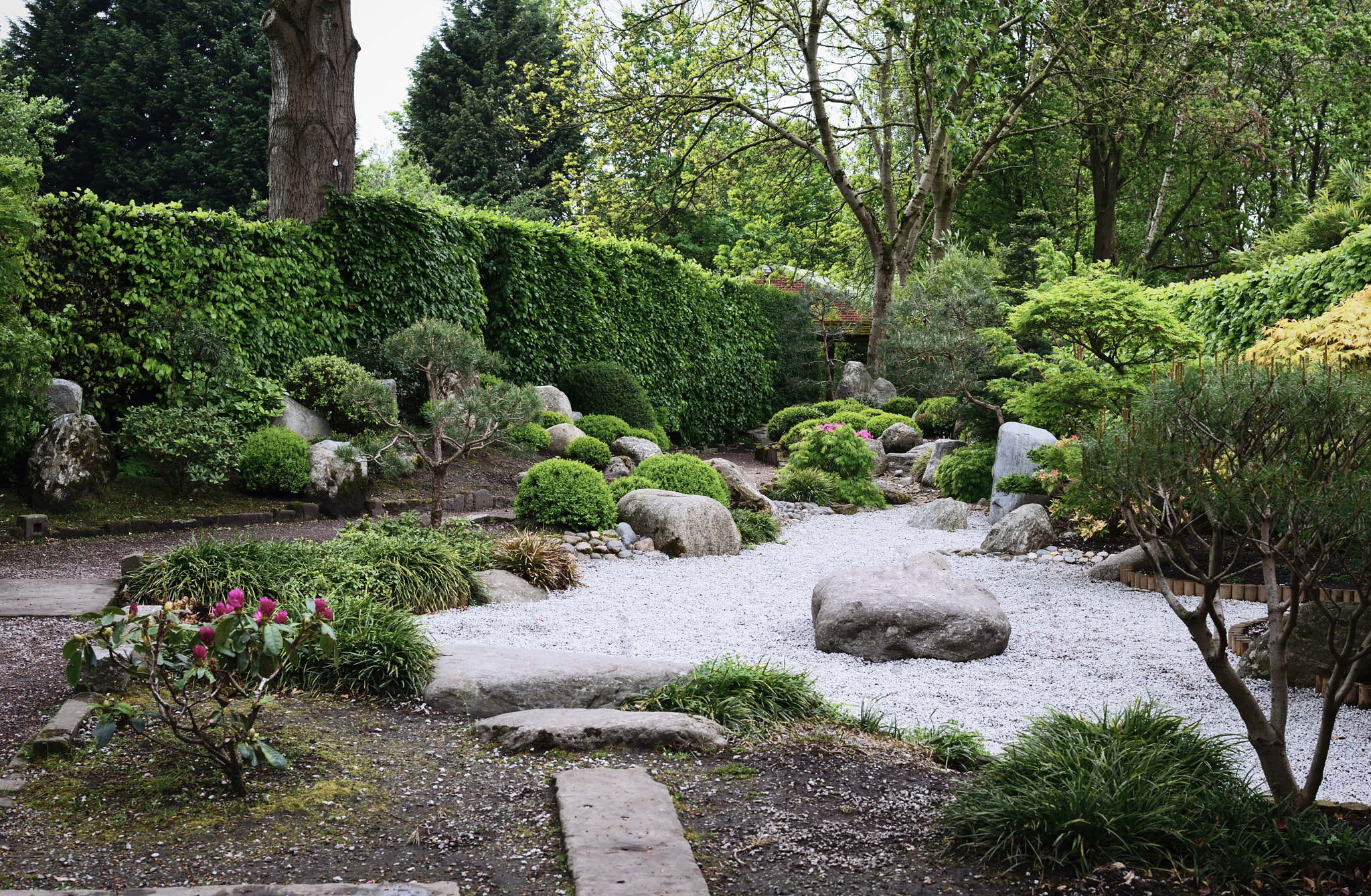 AF-S Nikkor 35mm f/1.8G sample photo. Japanese garden walkden gardens photography