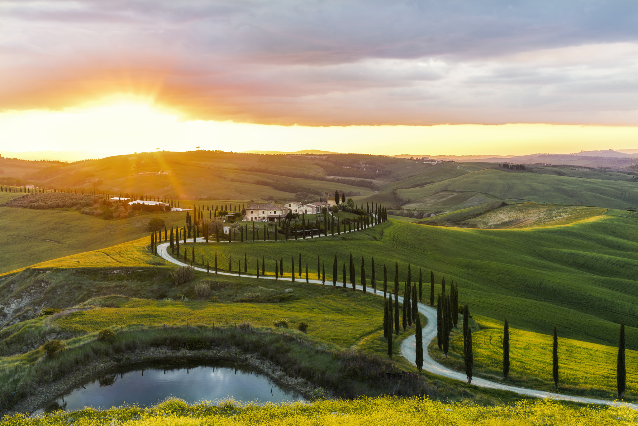 Canon EOS 5DS R + ZEISS Milvus 50mm F1.4 sample photo. Under the tuscan sun. photography