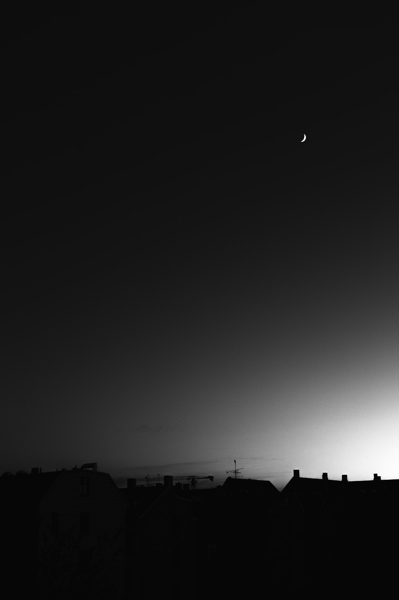 ZEISS Makro-Planar T* 50mm F2 sample photo. Mun photography