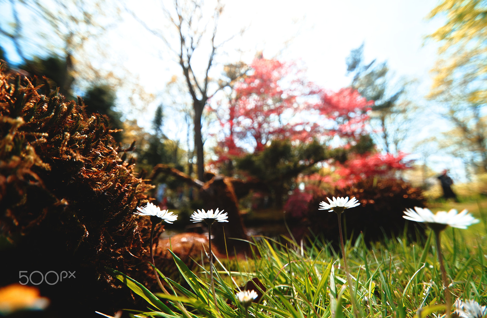 Pentax K-5 II sample photo. Nature photography