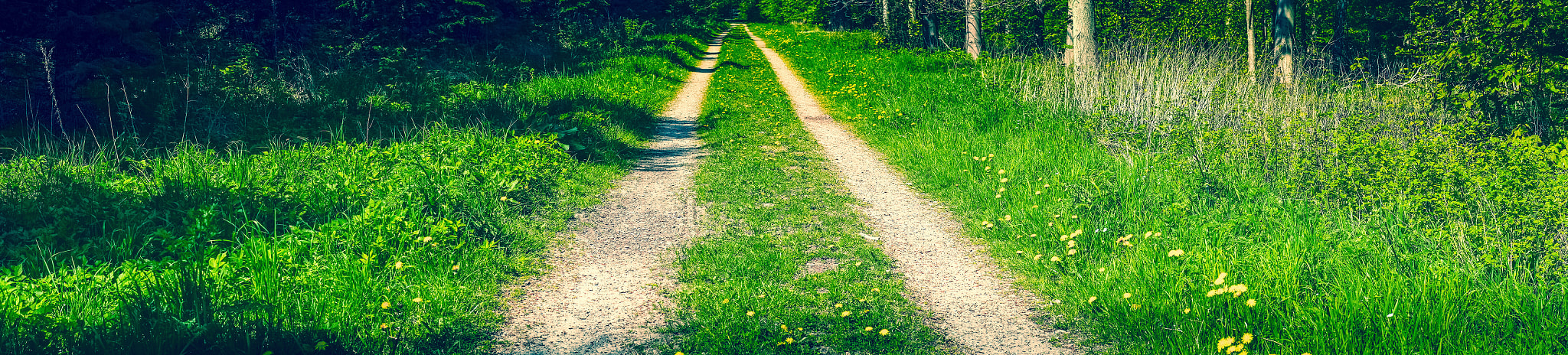 Sony a7R + Minolta AF 50mm F1.4 [New] sample photo. Dirt road in a panorama scenery photography