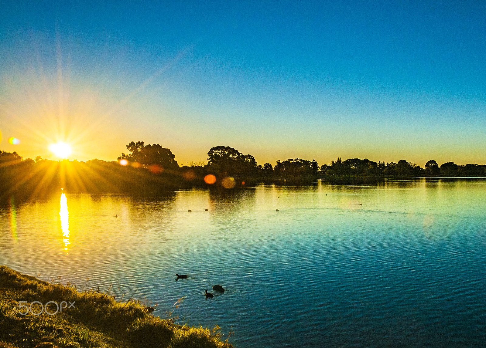 Nikon D300S sample photo. Lake photography