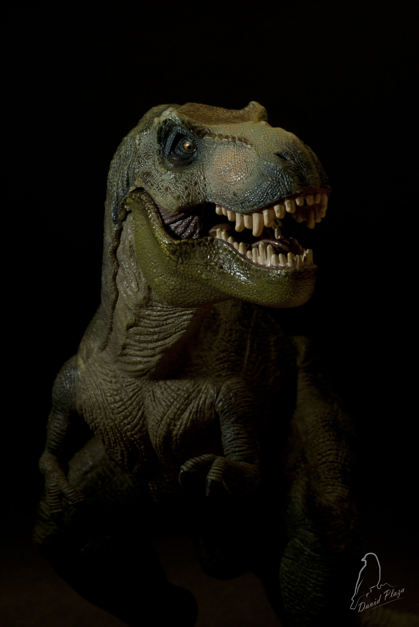Nikon D3000 sample photo. Dinosaurio photography