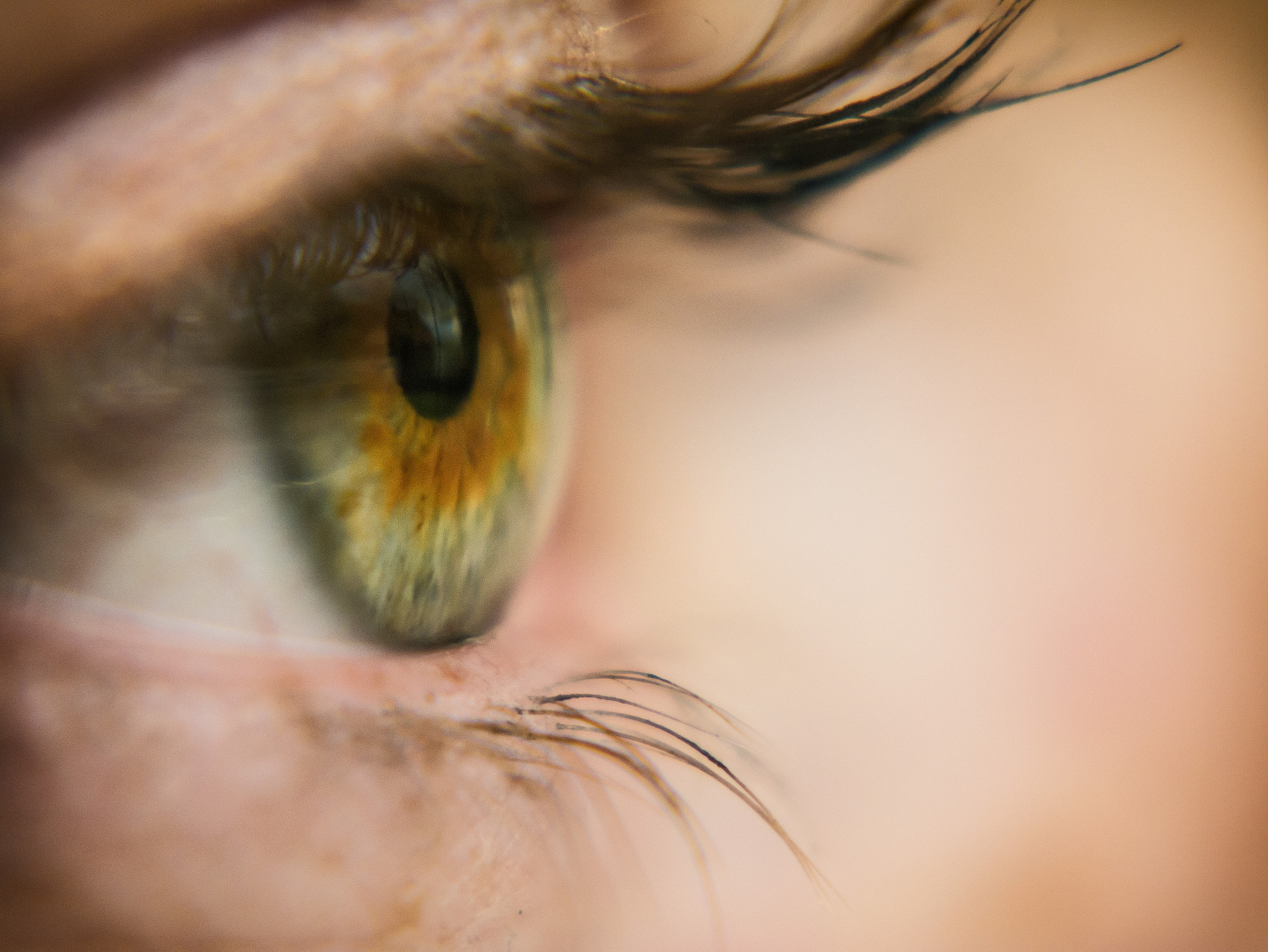 Panasonic Lumix DMC-GF6 sample photo. Eye photography