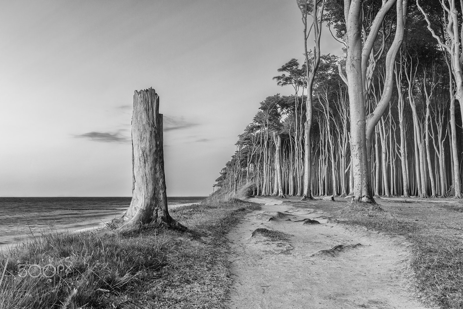 Canon EOS 700D (EOS Rebel T5i / EOS Kiss X7i) + Canon EF 16-35mm F4L IS USM sample photo. Mystical coastline photography