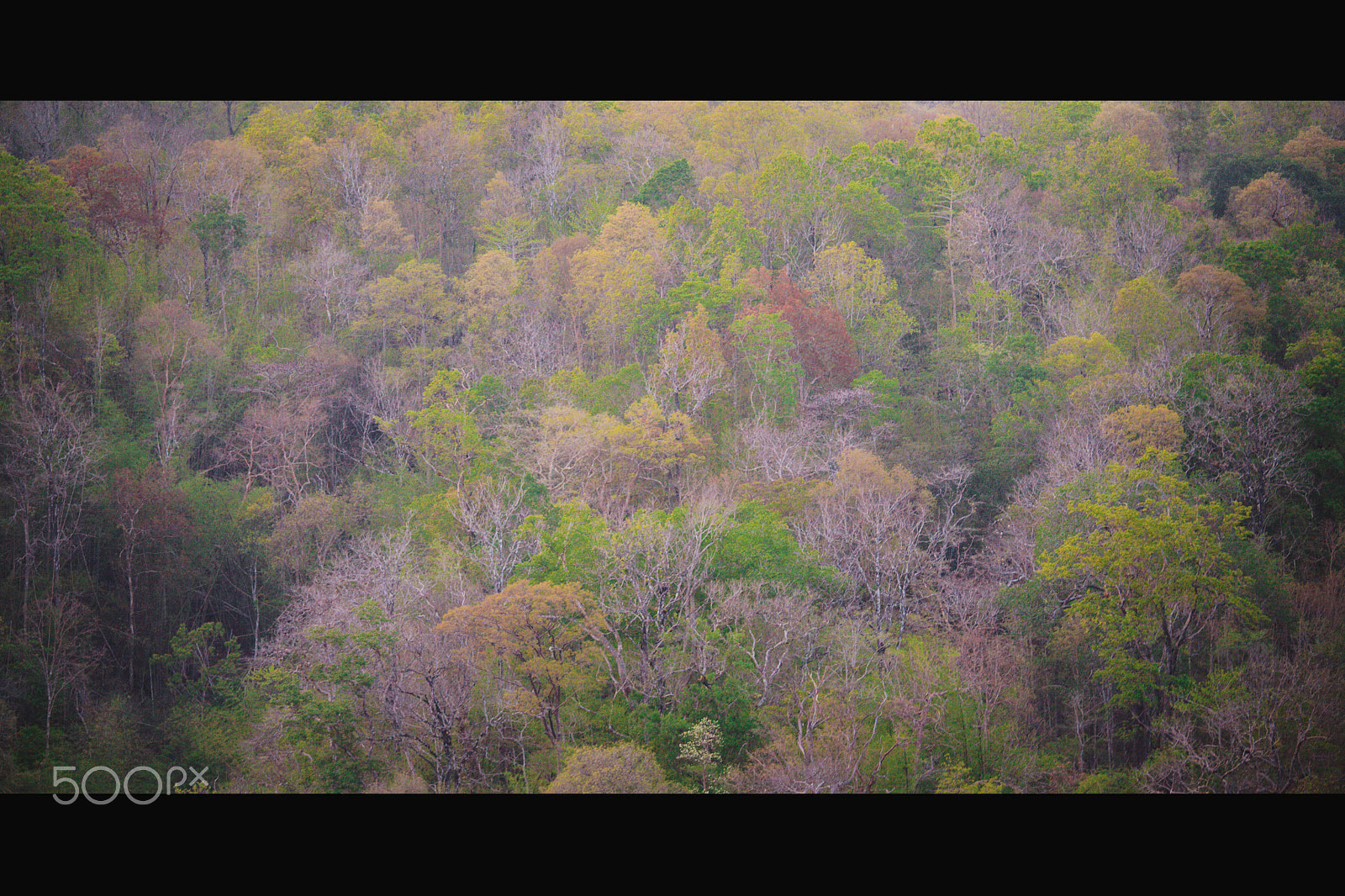 Canon EOS 5D + Canon EF 70-200mm F4L IS USM sample photo. The colors of nature photography