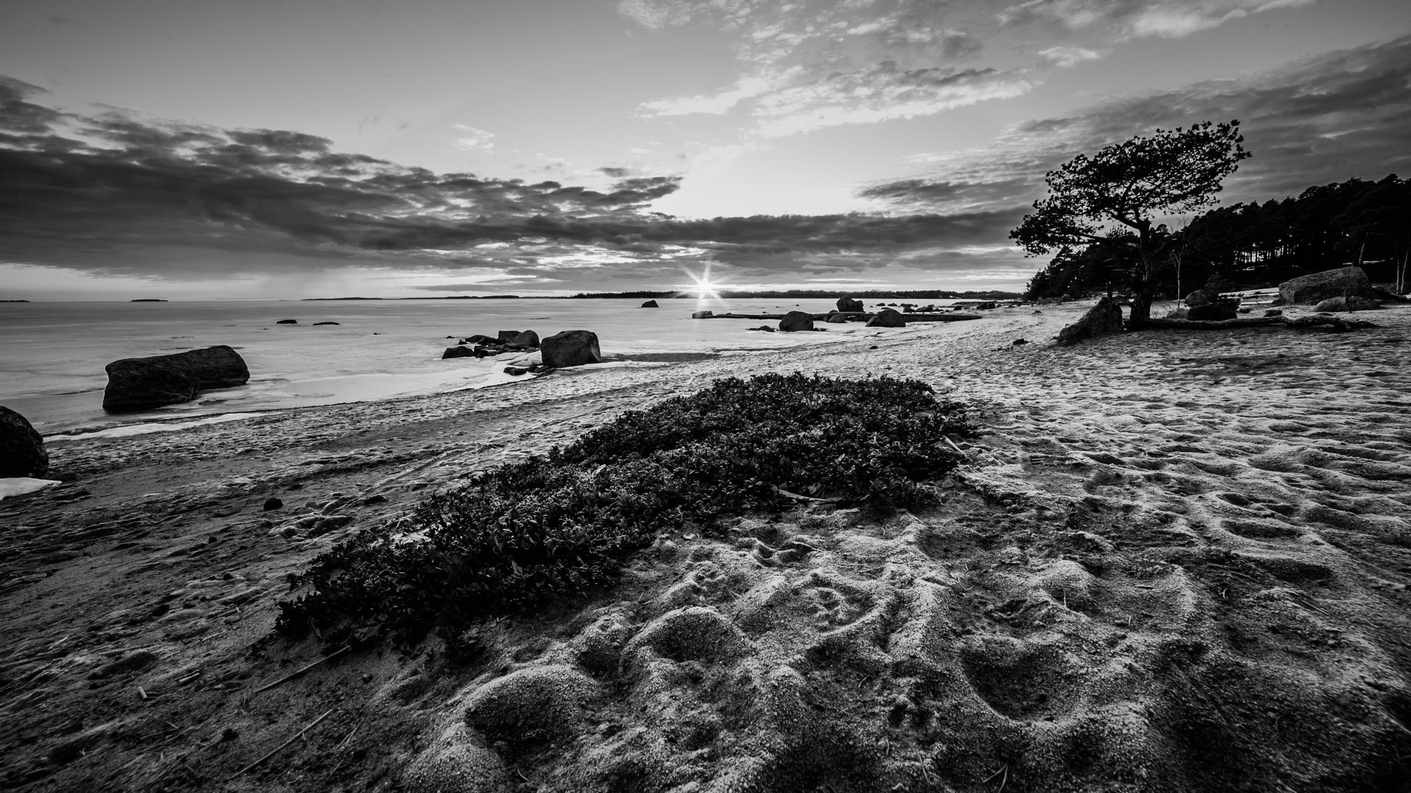Nikon D3 sample photo. Footsteps photography