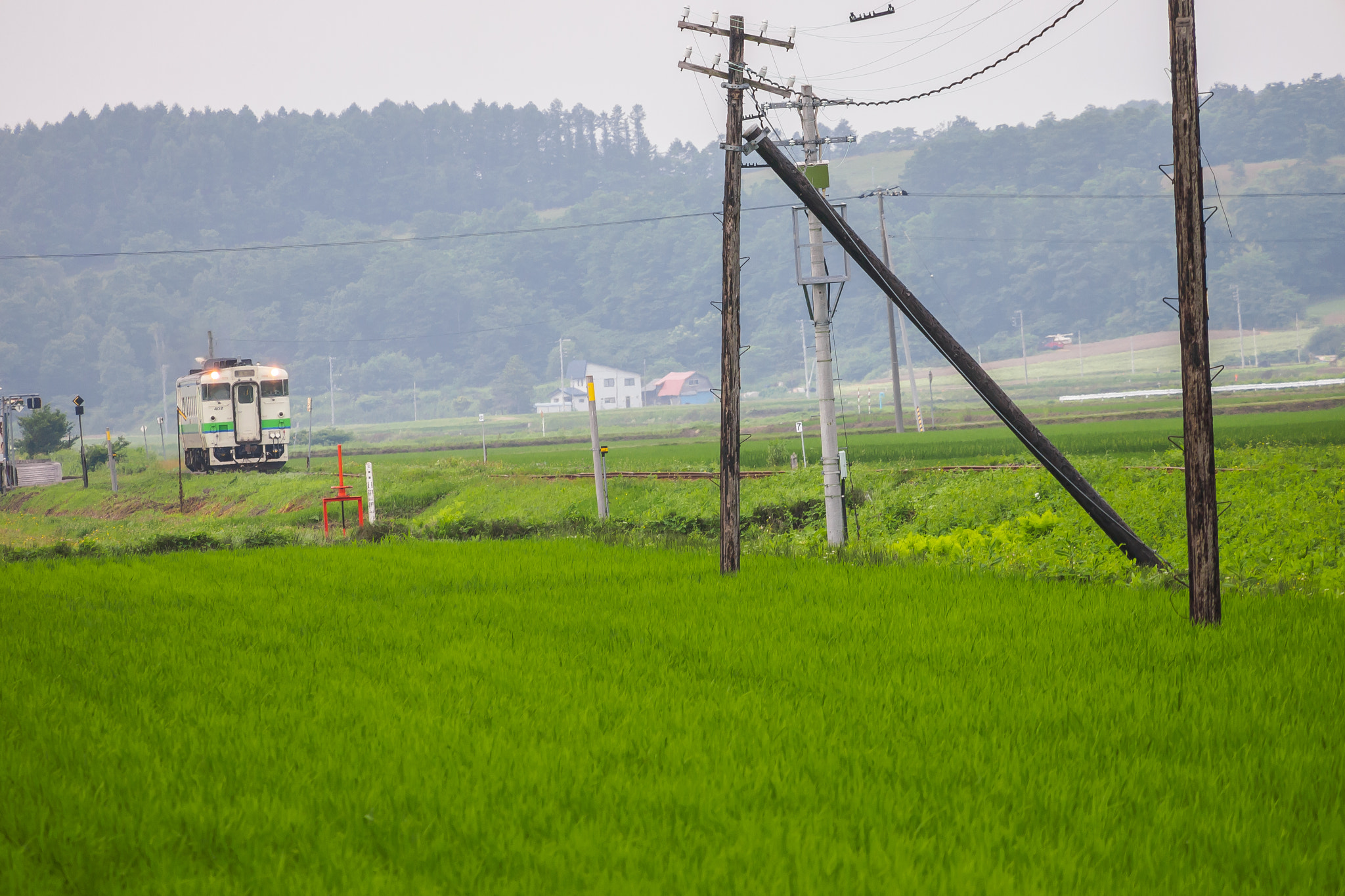 Olympus PEN E-P3 sample photo. 田んぼ photography