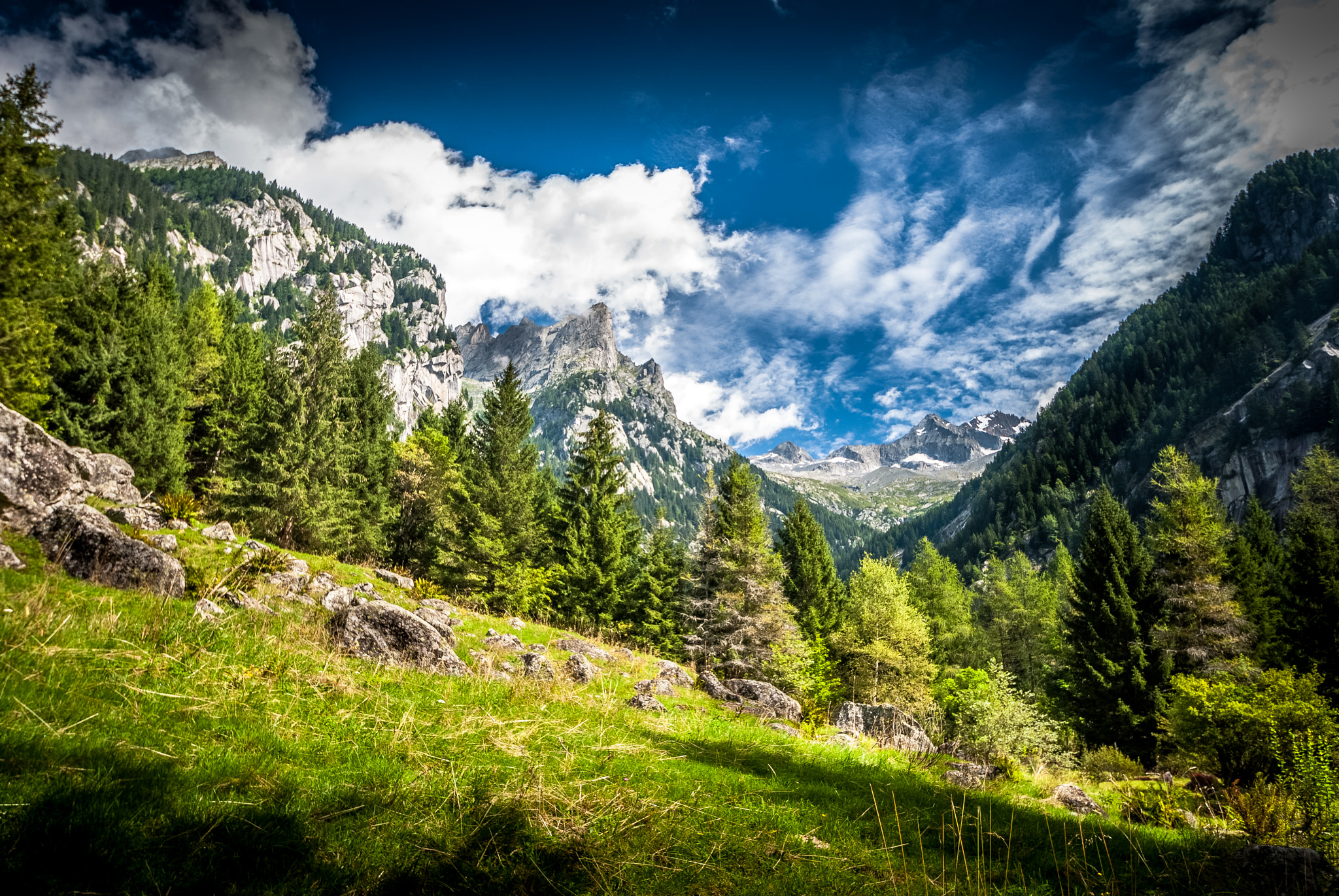 Nikon D60 sample photo. Val di mello photography