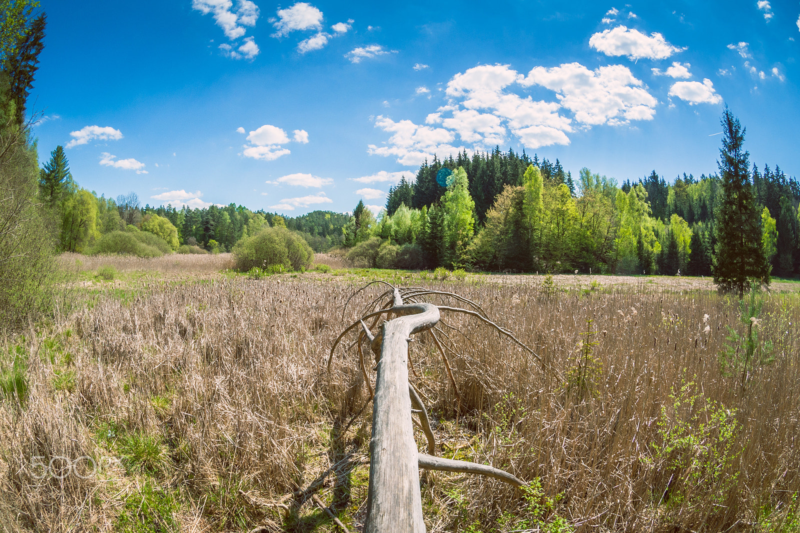 Nikon AF DX Fisheye-Nikkor 10.5mm F2.8G ED sample photo. Bohemian paradise photography