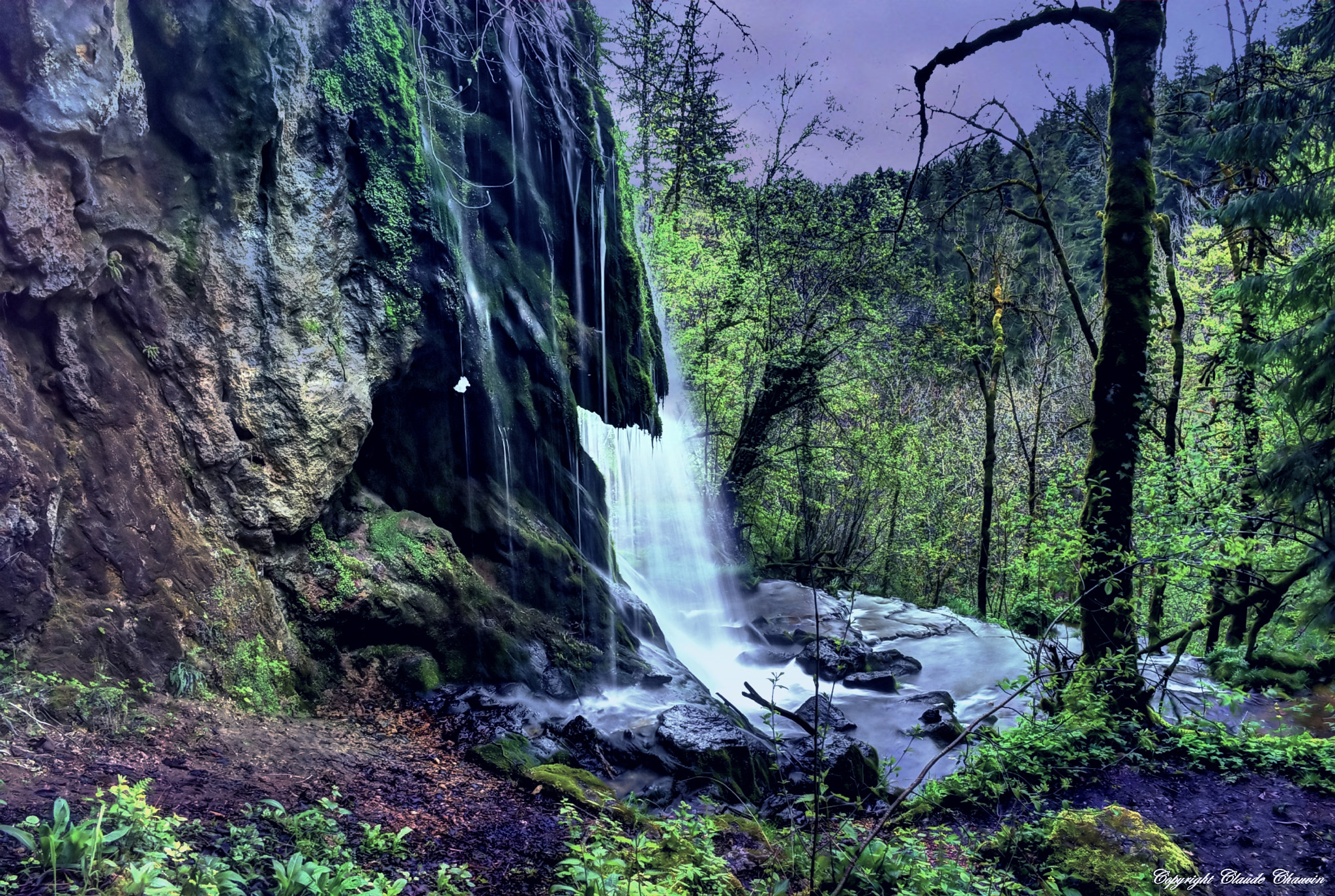 Pentax K-m (K2000) sample photo. Forest waterfall photography