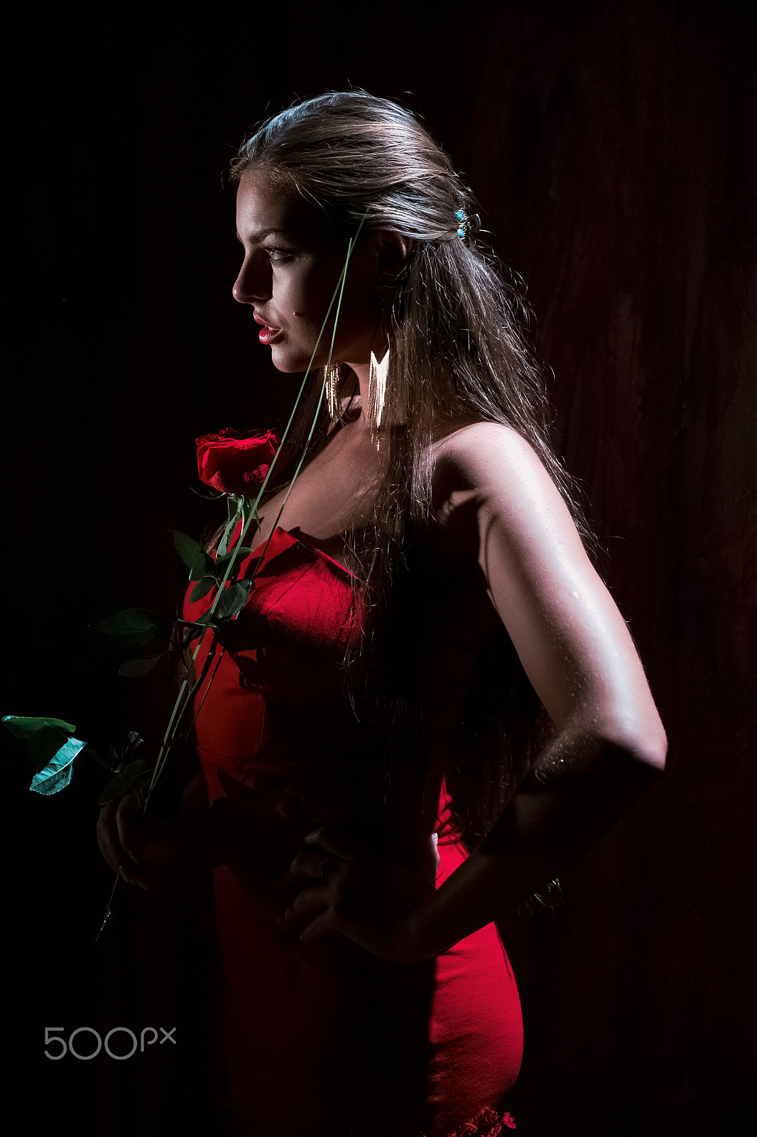 Fujifilm X-Pro1 + Fujifilm XF 16-55mm F2.8 R LM WR sample photo. A rose by any other name photography