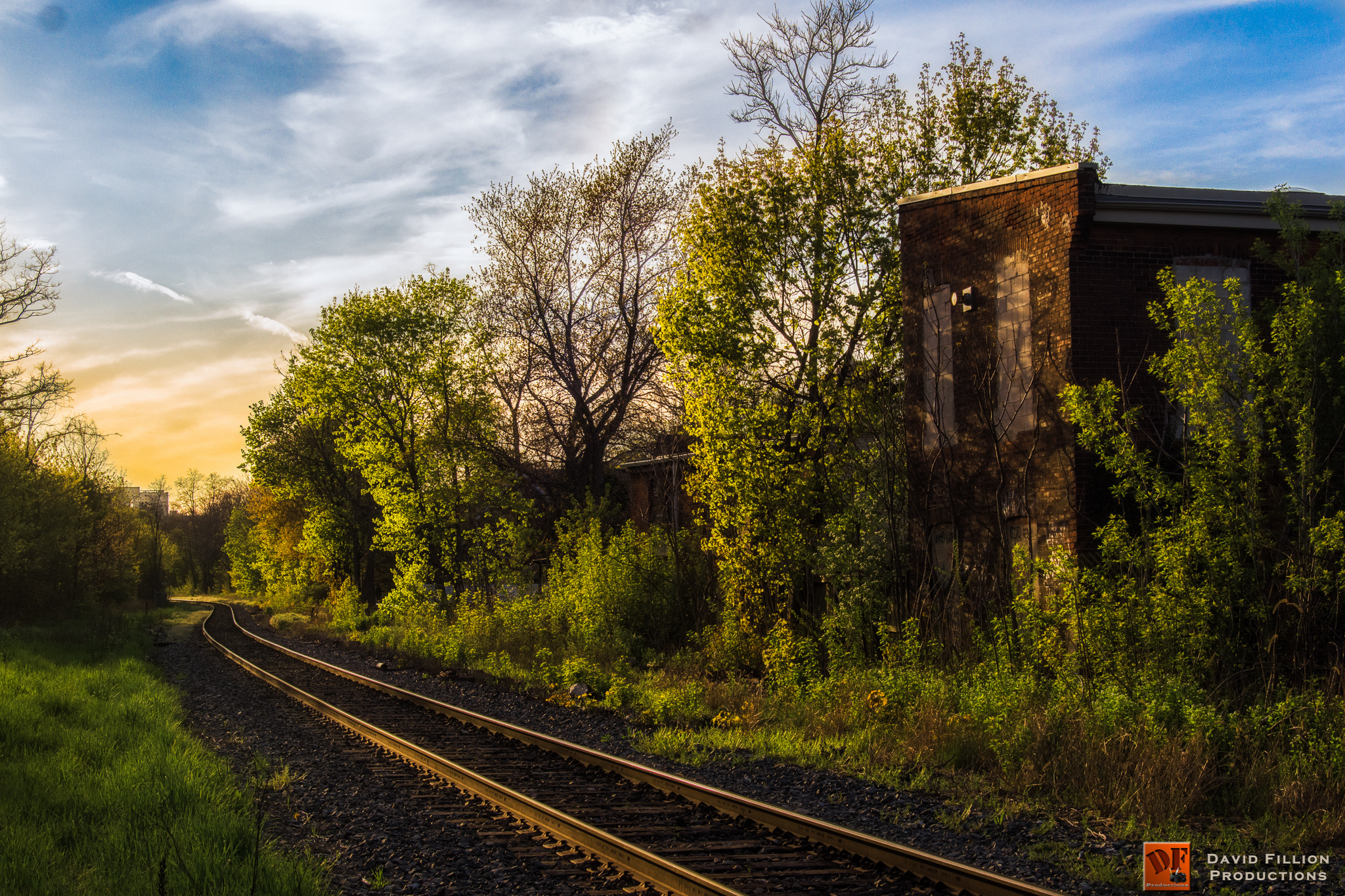 Sony SLT-A65 (SLT-A65V) + Sigma 28-70mm EX DG F2.8 sample photo. Nature taking over photography